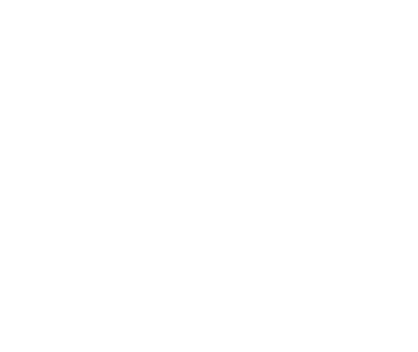Borchardt Construction Technology